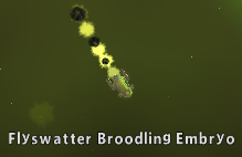 Flyswatter Broodling Embryoc2.png