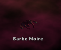 Barbe Noire.png